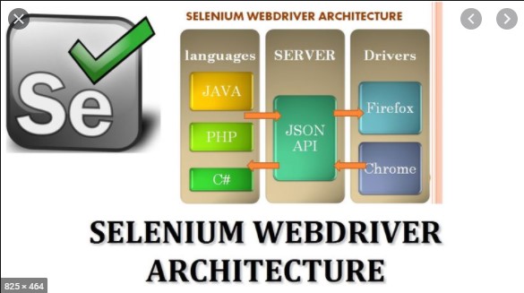 Tại sao sử dụng Selenium Web Driver